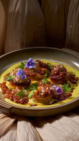 Mobile banner element 2